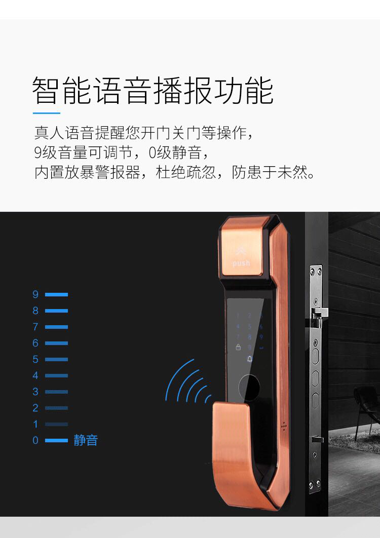 LY-S-Z100 全自動(dòng)指紋鎖