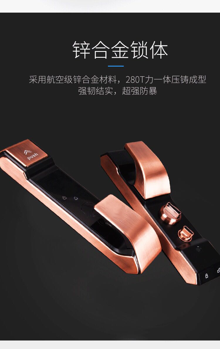 LY-S-Z100 全自動(dòng)指紋鎖