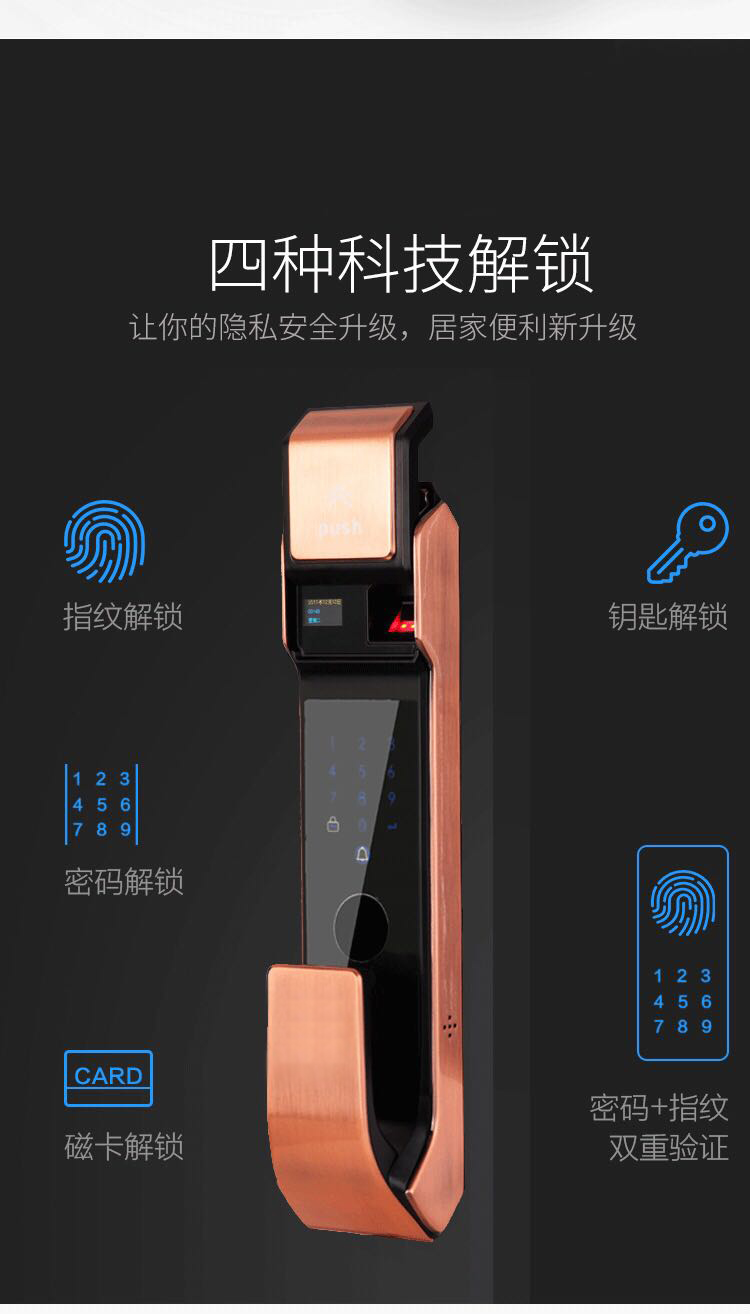 LY-S-Z100 全自動(dòng)指紋鎖