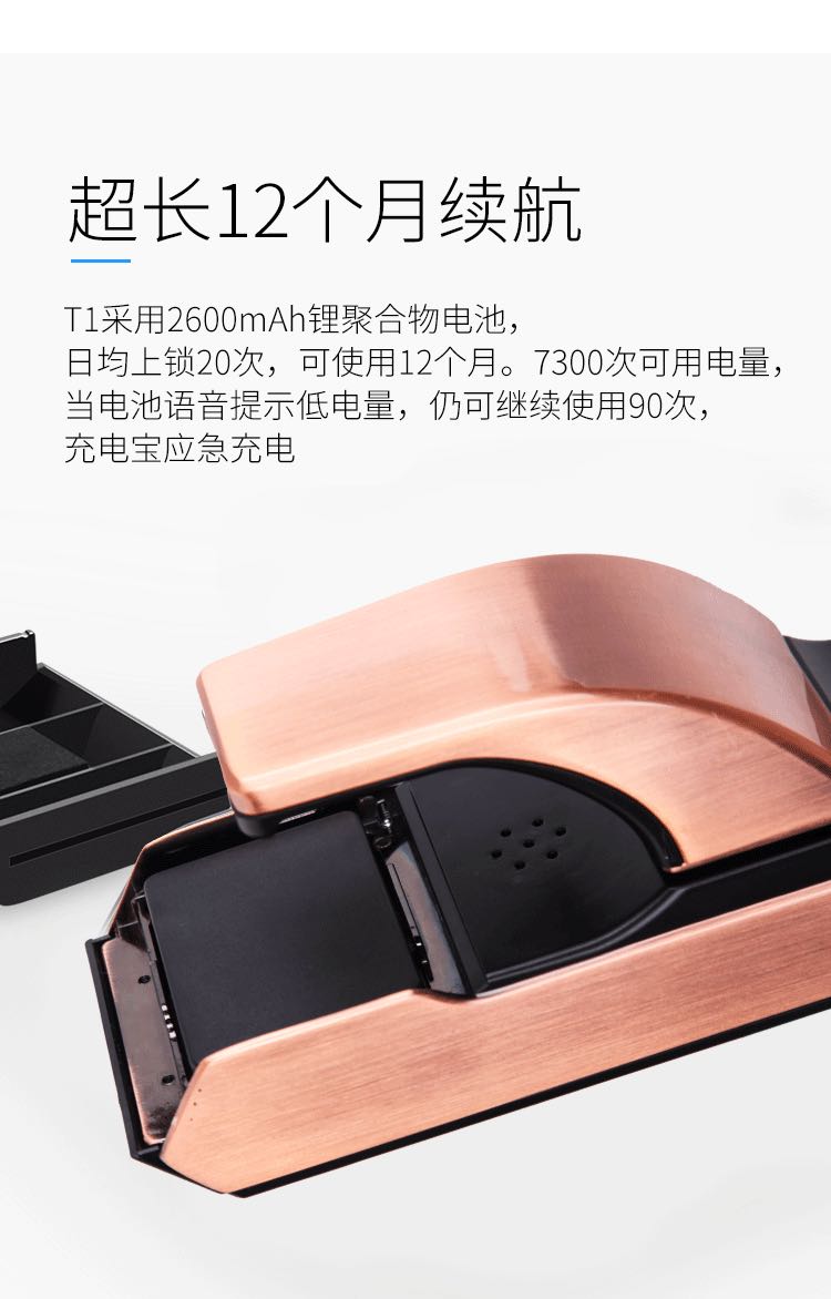 LY-S-Z100 全自動(dòng)指紋鎖