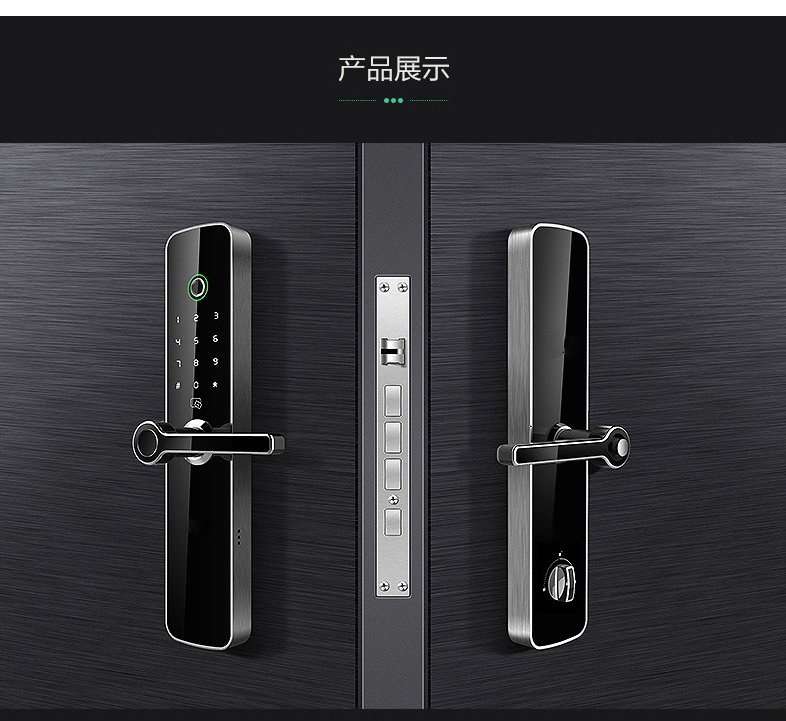 LY-S100 標(biāo)準(zhǔn)平板指紋鎖