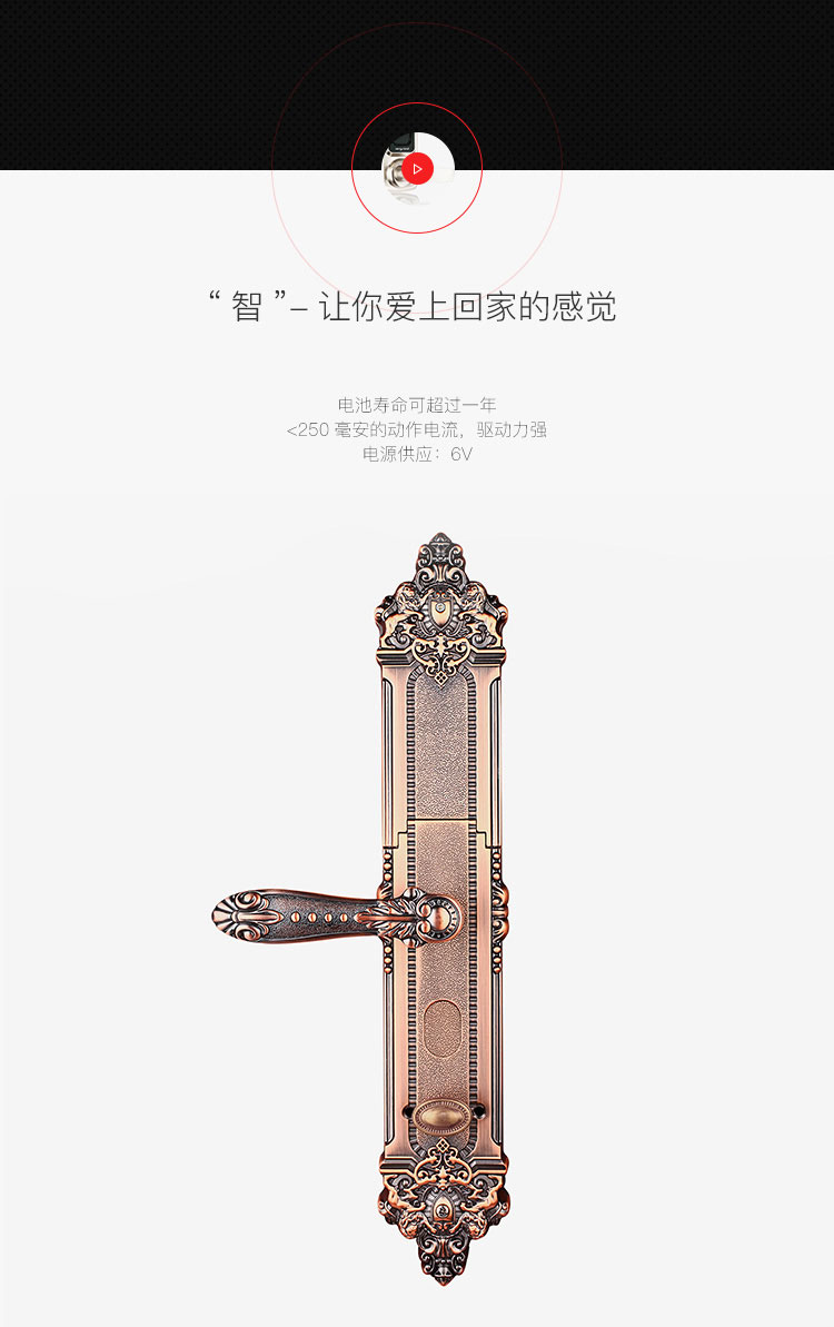 中式大拉手別墅指紋防盜門鎖